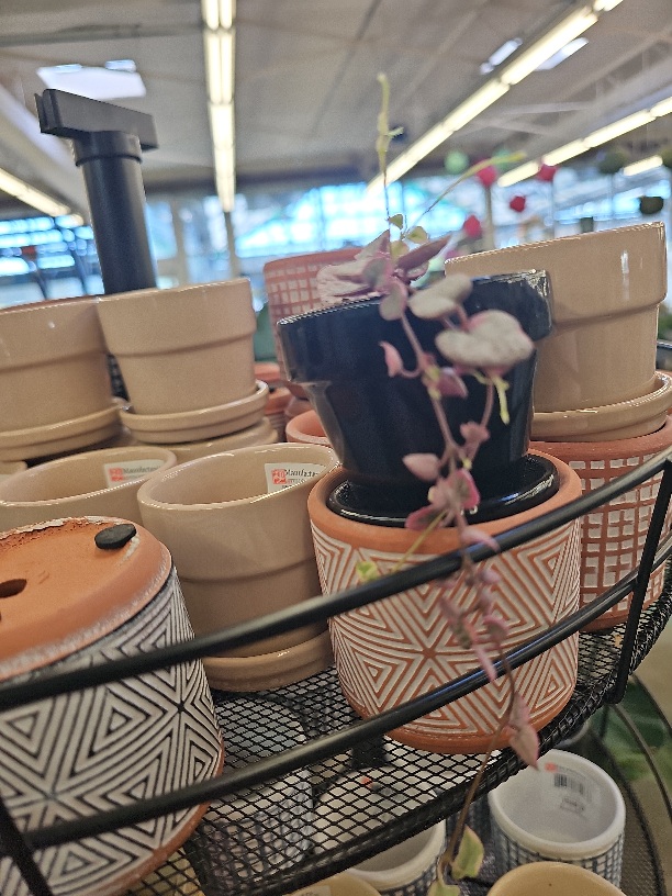 tiny tericotta pots